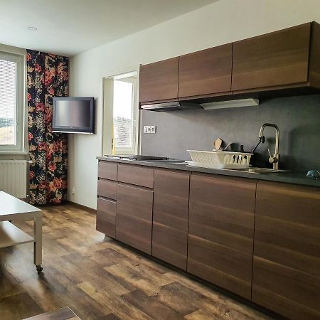 Apartmany Schmiedeberg U Klinovce Kovářská Εξωτερικό φωτογραφία